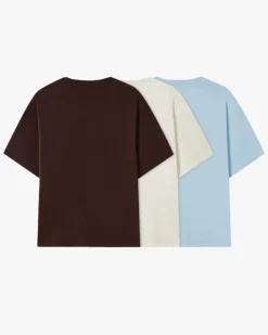Basic Tee Brand Palette 3xPack
