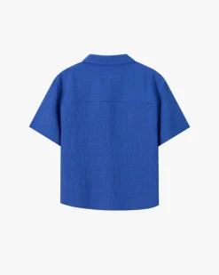 Half Polo Blue