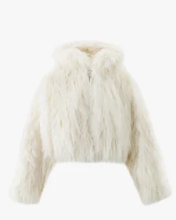 The Coldest Jacket